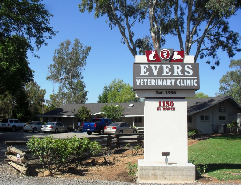 Evers Veterinary Clinic Hospital - Chico, California